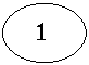 Овал: 1