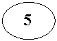 Овал: 5